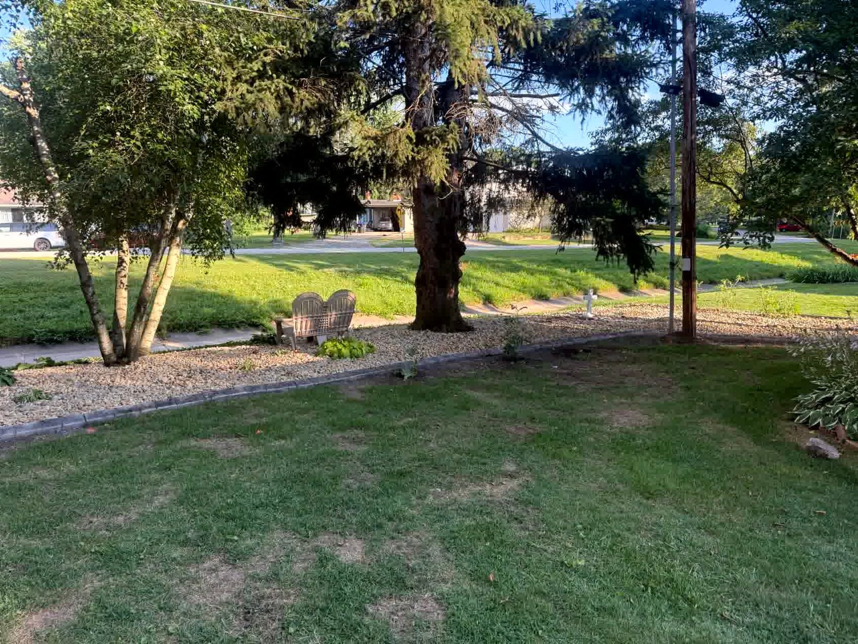 Grassy front yard with large pine tree, decorative bench, and rock landscaping under afternoon sunlight in a suburban neighborhood.
