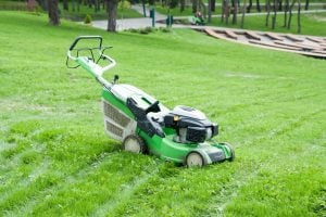 Green gas-powered lawn mower sits on tall grass in a park, ready for mowing and lawn maintenance in a large open yard.