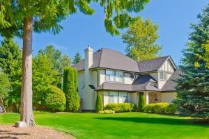 Elegant Tudor-style house with dark roof, cream walls, tall evergreens, and vibrant green lawn surrounded by trees.