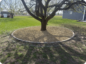 Large tree stands in the center of a yard, encircled by tan decorative rock and brick border, casting shadows on green grass.