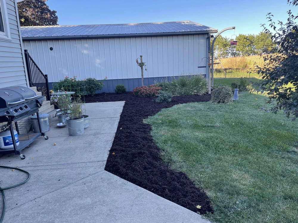Backyard landscaping bed freshly edged and mulched for a clean spring-ready look.