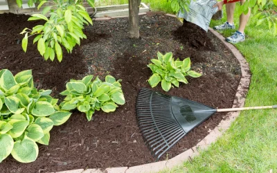 Top Landscaping Tips to Refresh Overgrown Beds Before Spring