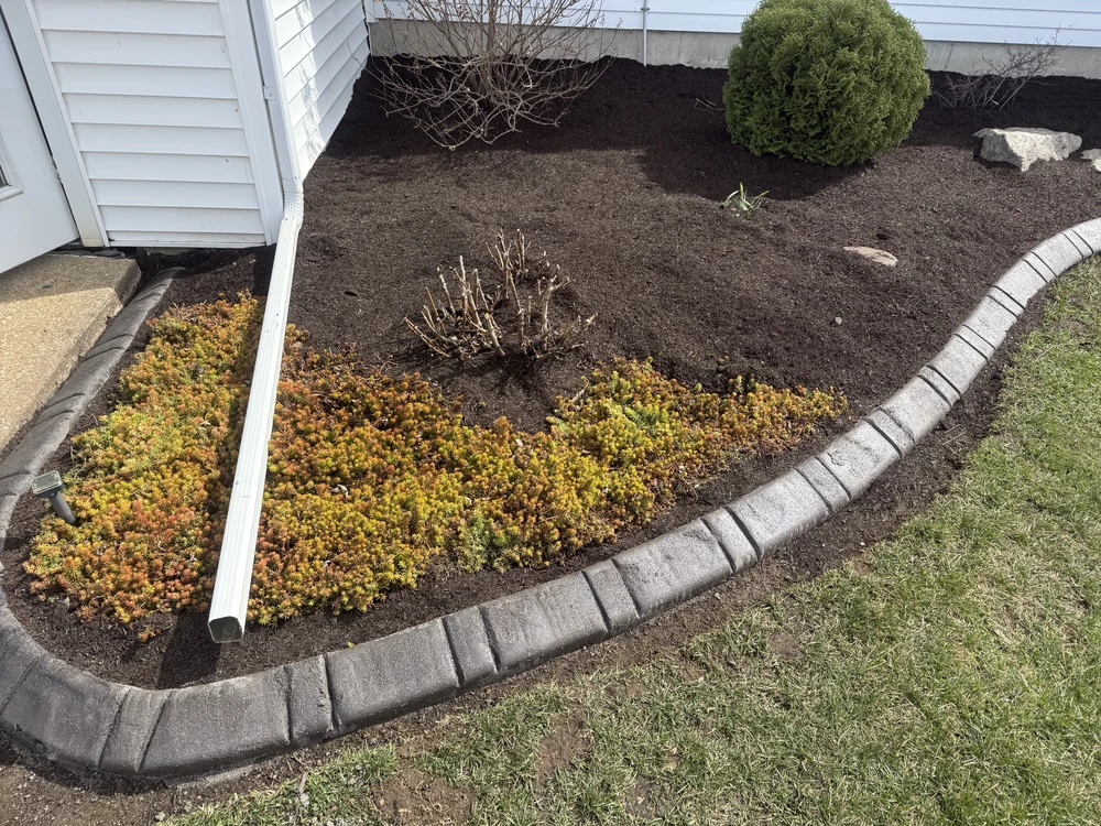 Freshly mulched foundation bed with clean edging demonstrating landscaping work completed for spring readiness.