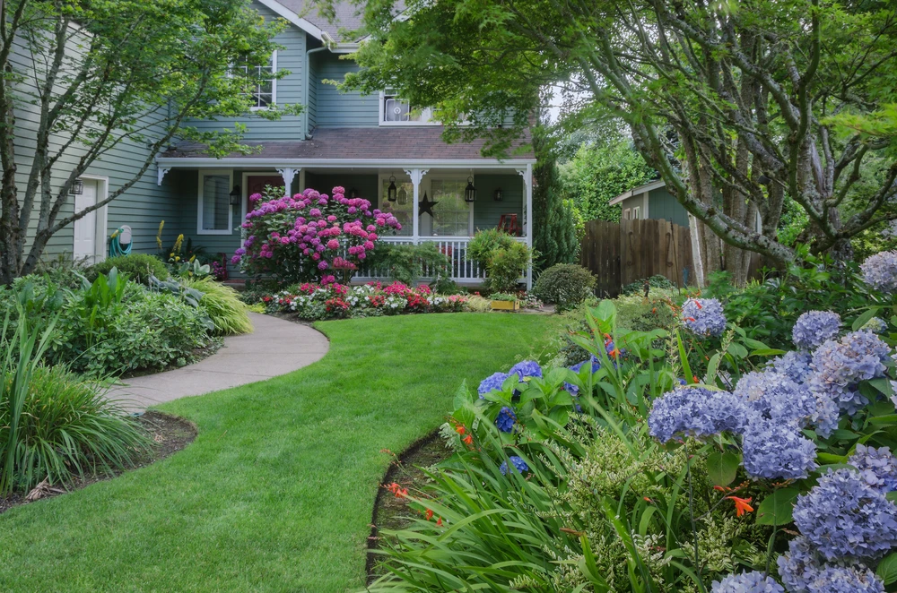 Lush front yard with curved walkway and blooming plants showing landscaping designed for spring color and healthy growth.