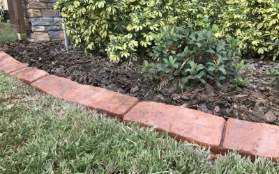 Decide if Landscape Curbing or Simple Edging is Better for You
