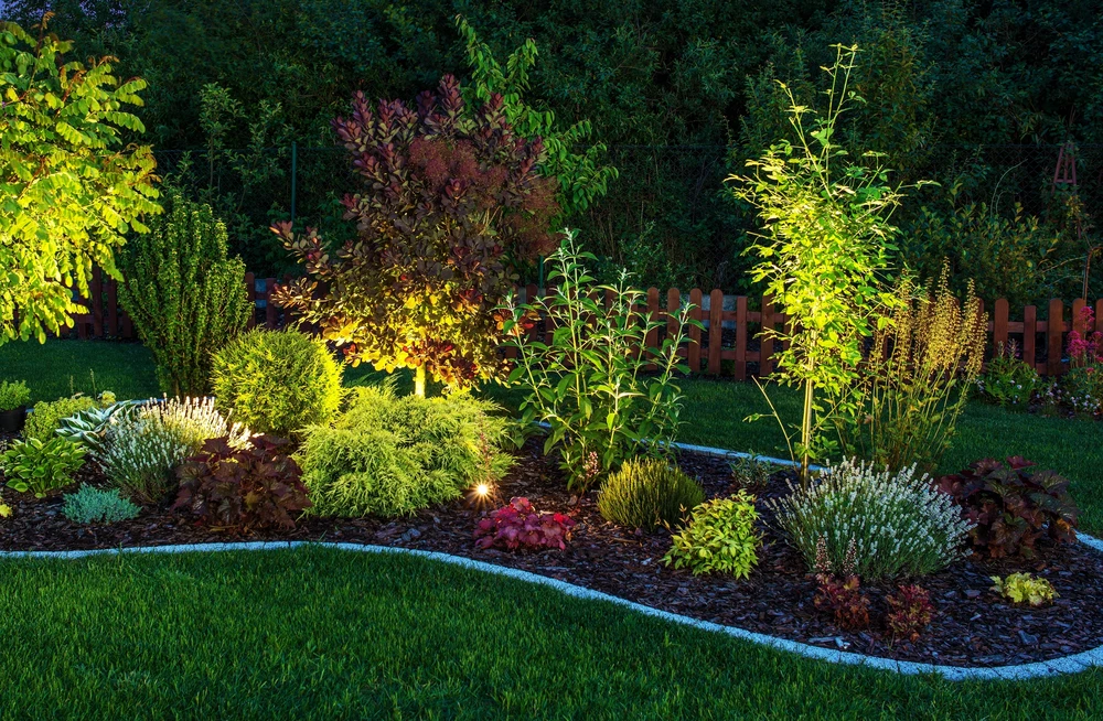 Soft garden lights illuminate shrubs and flowers along a curved backyard border.