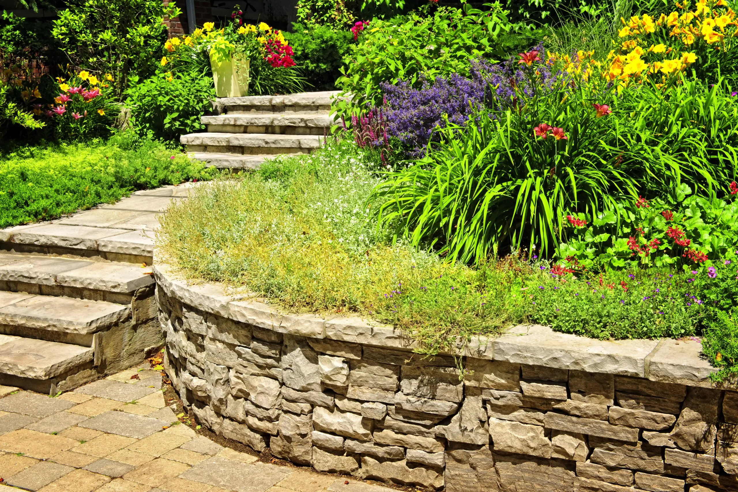 Curved stacked-stone retaining wall and broad garden steps surrounded by dense greenery, purple blooms, red flowers, and bright yellow daylilies.