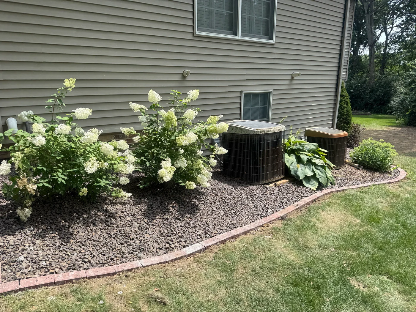 White hydrangeas, hostas, and dark decorative rock form a curved side-yard landscape bed beside a home.