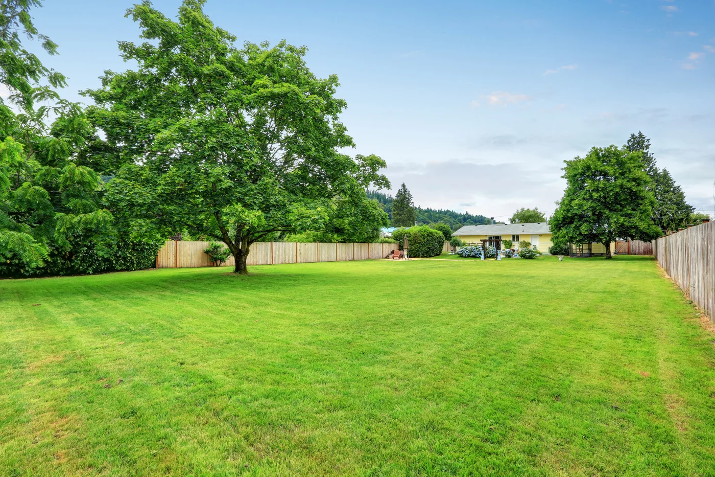 A large expanse of green backyard lawn surrounded by a wooden privacy fence and mature shade trees, with a light-colored home in the distance.