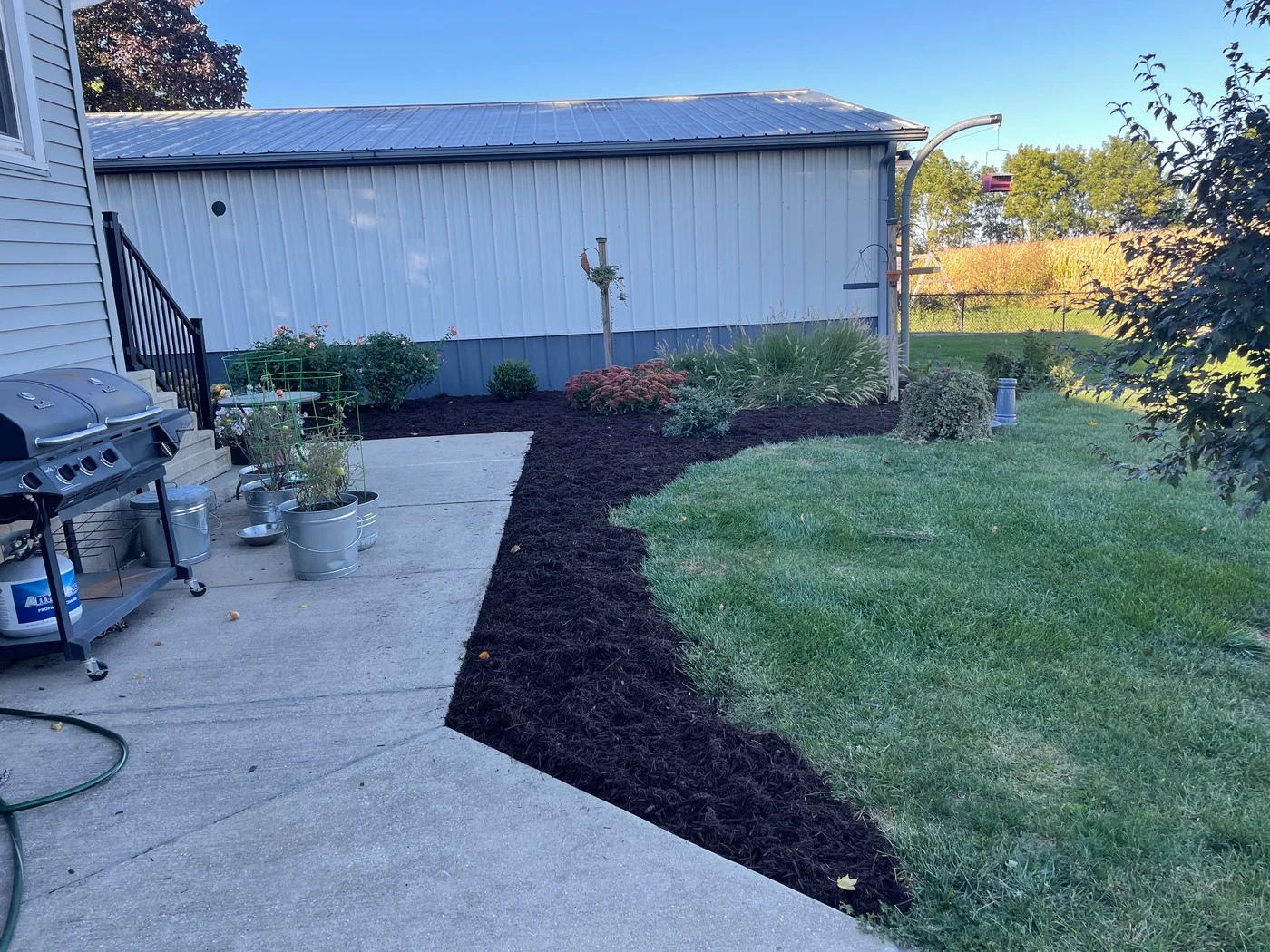 Fresh dark mulch borders a green lawn and concrete patio beside shrubs and ornamental grasses.
