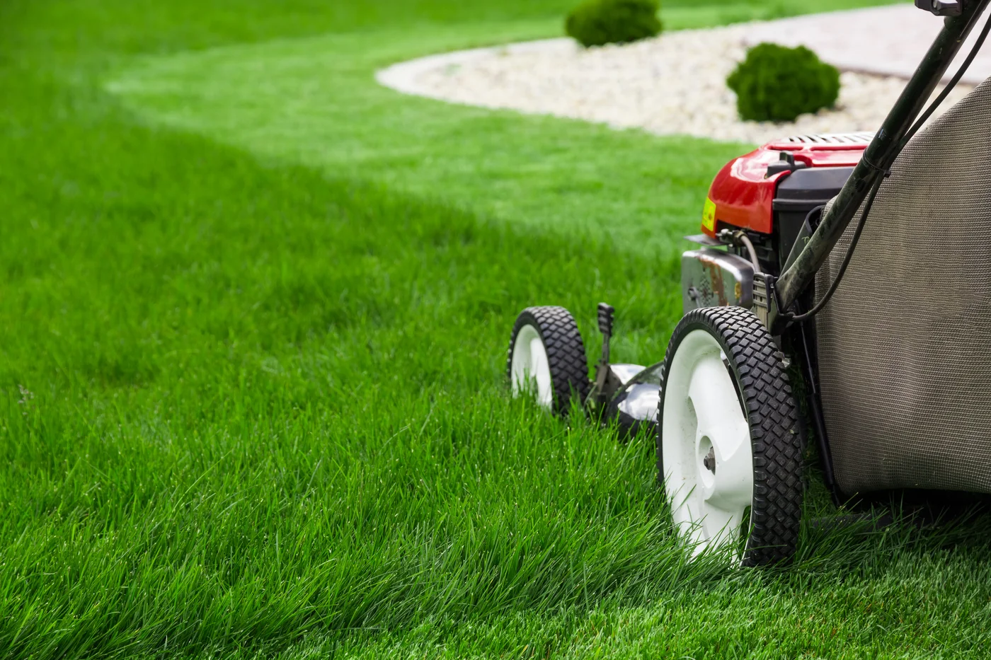 A close-up of a red push mower cutting a strip of tall green grass, leaving a shorter, even lawn beside a curved gravel landscaping bed.