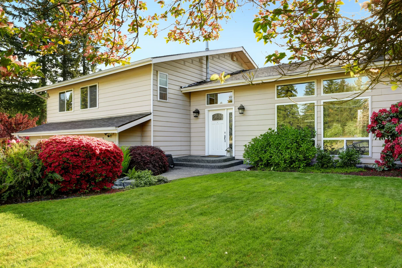 A green sloping front lawn leading to a beige house, framed by overhanging tree branches and a large, vibrant red flowering bush.