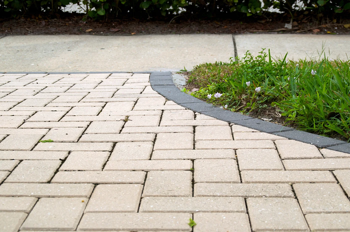 Light tan pavers with a dark gray border connecting to a concrete sidewalk beside green grass.