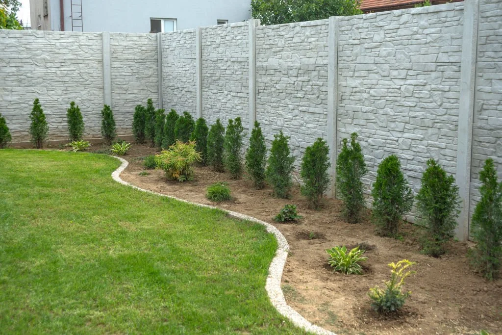 Textured grey concrete privacy fence behind a bare dirt planting bed with small evergreen trees, bordered by a curved stone edge and green lawn.